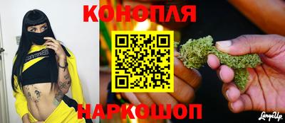 шишки Ипатово