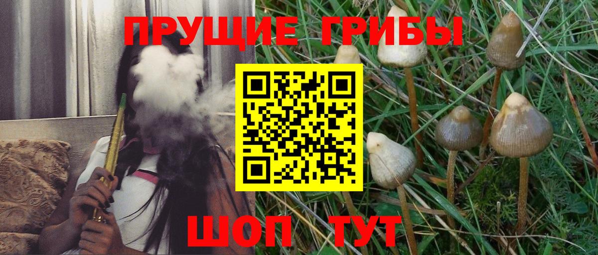 Псилоцибиновые грибы Magic Shrooms Кыштым