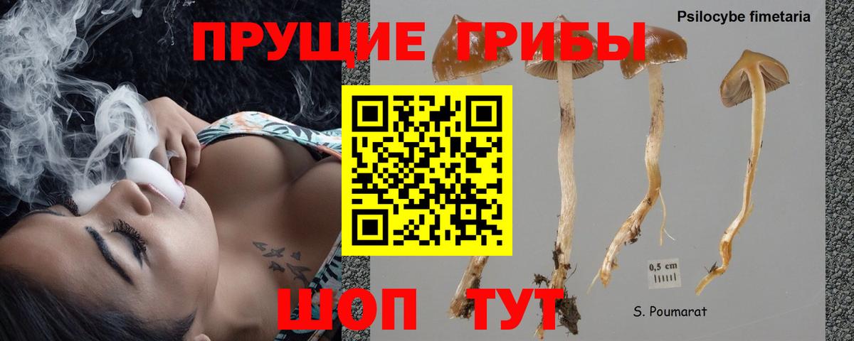 купить наркотики сайты  Вход с VPN  Псилоцибиновые грибы Cubensis  Кыштым  Псилоцибиновые грибы прущие грибы 